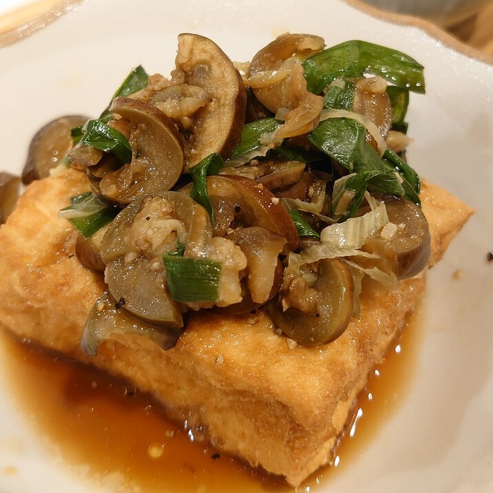 厚揚げをガッツリメインに!ナスとニラと香味だれ